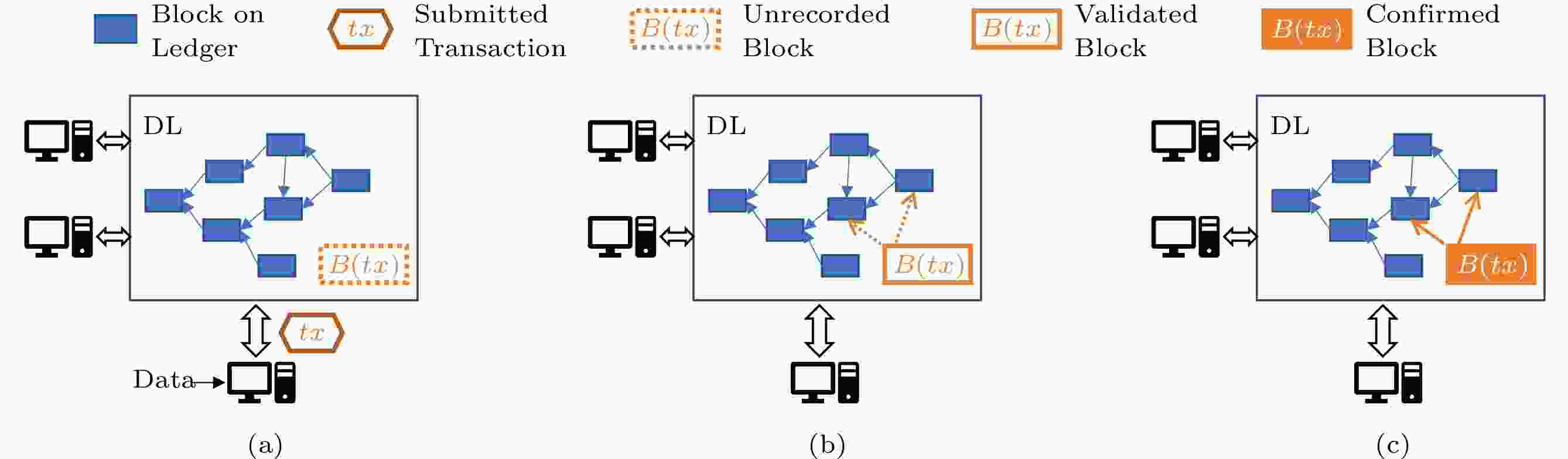 Performance Modeling and Testing of DAG-Based Distributed Ledger Systems